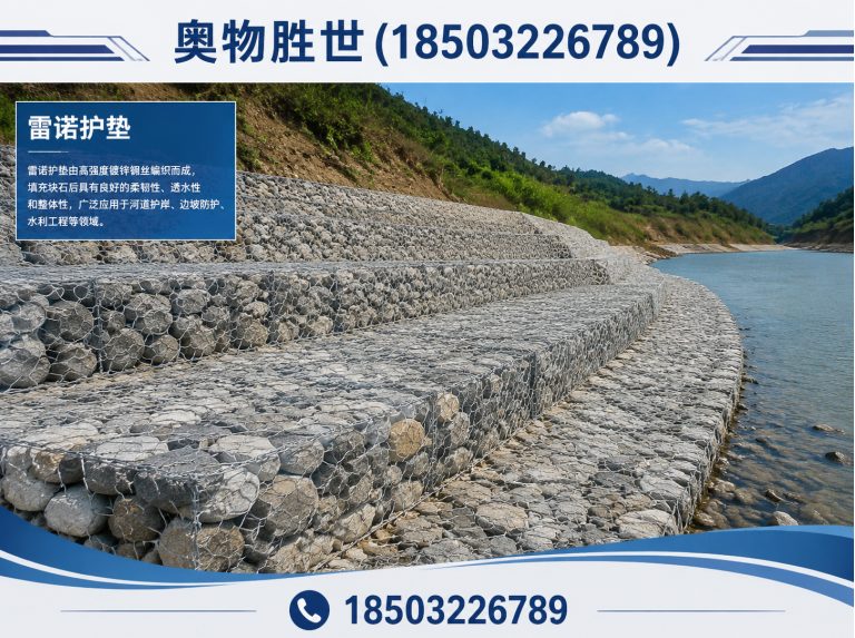 赣州雷诺护垫展示图